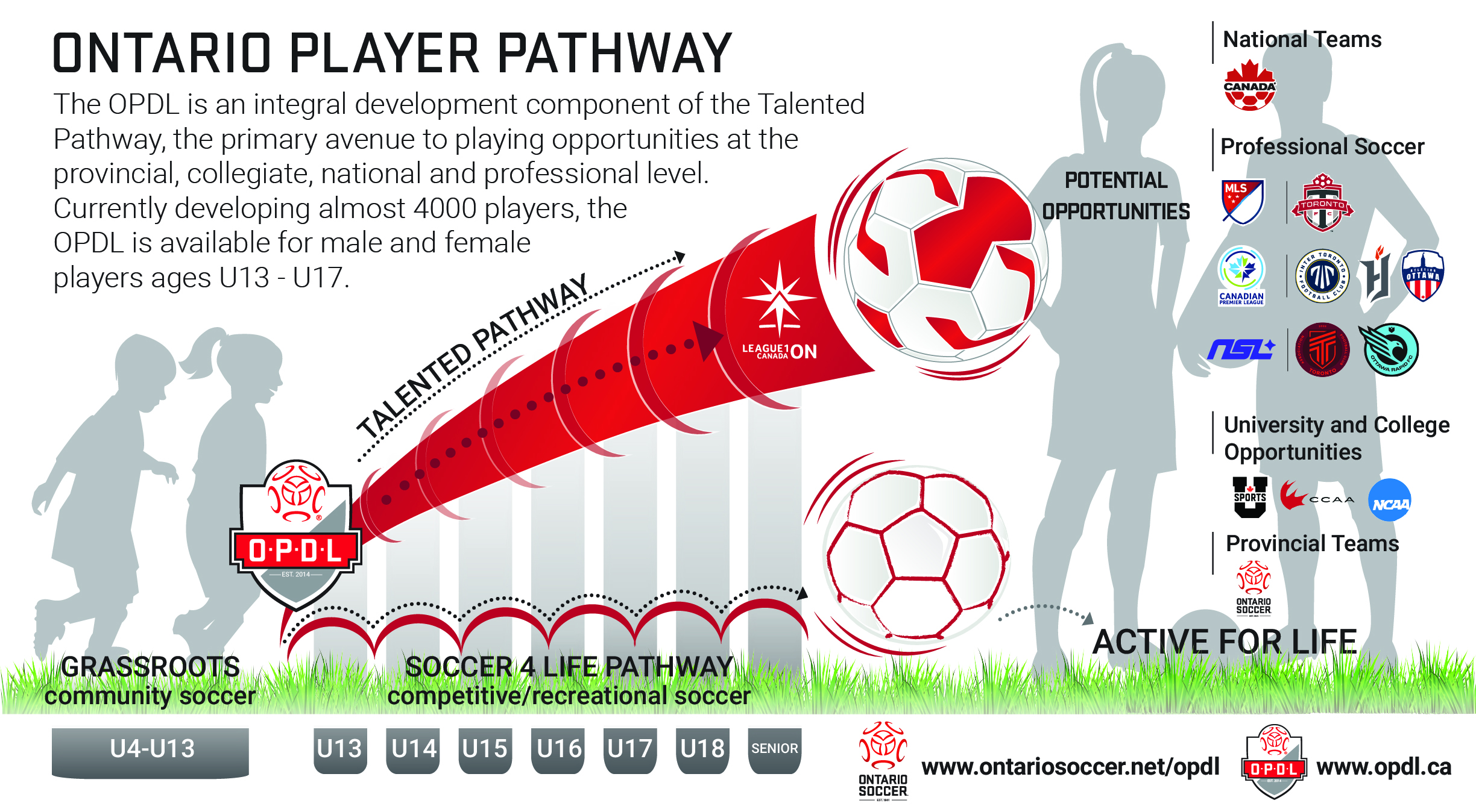 Player Pathway Graphic